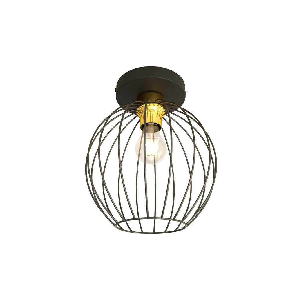 NEST 1 BL OR