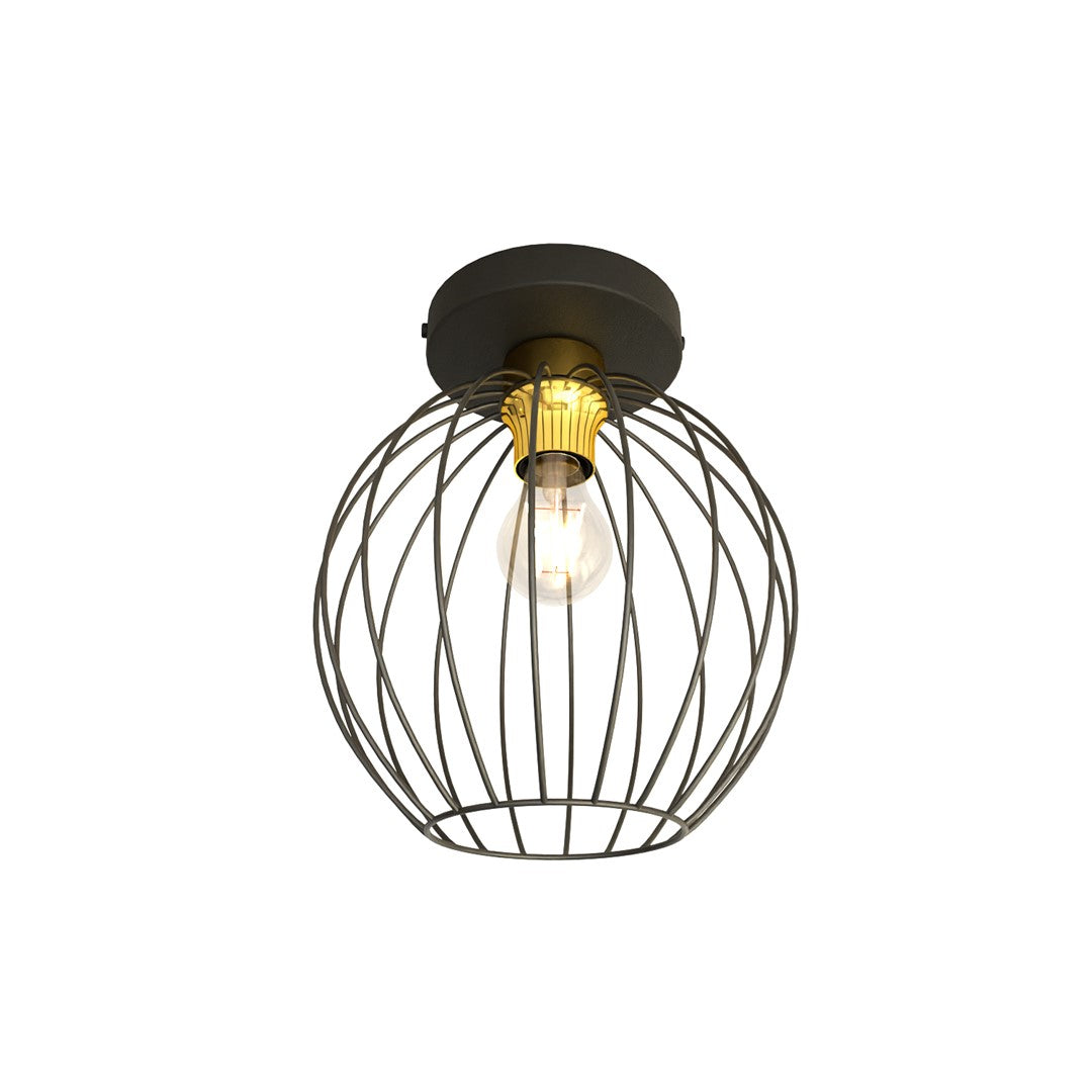 NEST 1 BL OR