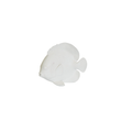 Ornement - Poisson plat - Polyrésine - Blanc - 19,5 x 10,5 x 16 cm