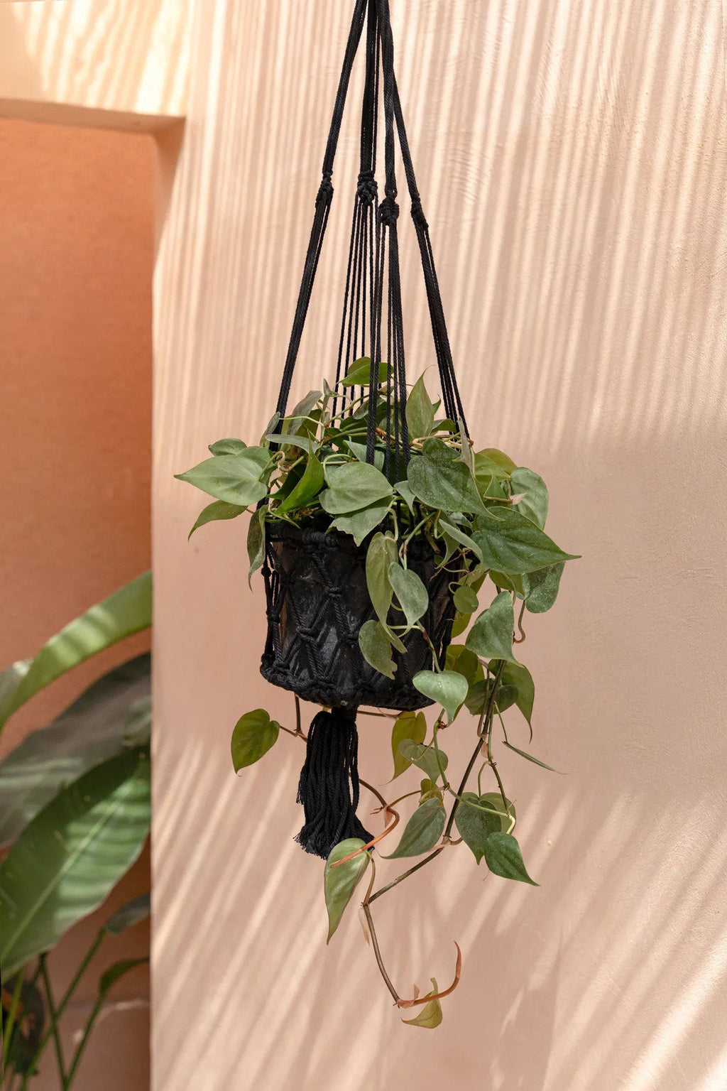 Porte-plante en macramé - Noir - M
