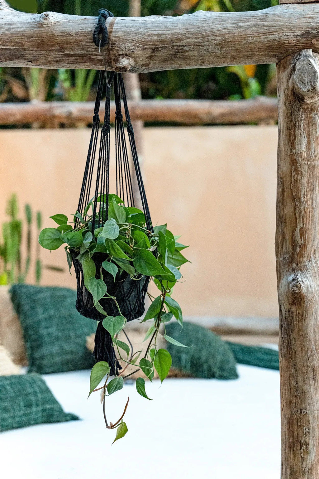Le porte-plante macramé - noir - S